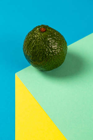Avocado on an abstract colored backgroundの写真素材