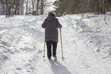 An aged woman is engaged in nordic walking in a winter park. She climbs a snowy hill in frosty weather.の写真素材
