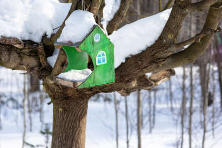 Homemade wooden green bird feeder on a tree in a winter park.の写真素材