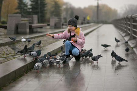 Girl feeding pigeons in city park in cold autumn rainy weatherの写真素材