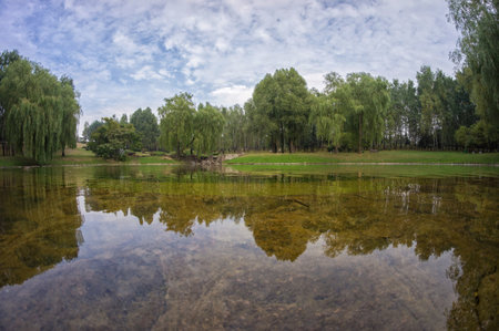 Beautiful summer landscape in a park with a pond. The beautiful cloudy sky and green trees are reflected in the calm water.の写真素材
