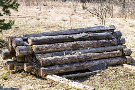 A pile of old rotten logs piled on the ground in the open air. Logs from an old disassembled house piled in a heapの写真素材