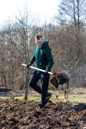 A man with a pitchfork fertilizes his farm beds with organic fertilizer in an early sunny spring. Manure mixed with straw as organic fertilizer is used on the farm to grow organic foodの写真素材