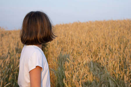 A girl in a white T-shirt lit by the rays of the setting sun stands in a wheat field and looks into the distanceの写真素材