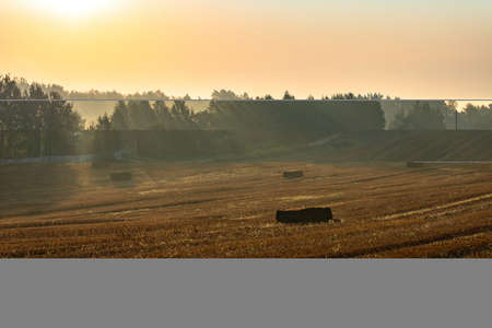 Rural colorful foggy landscape at sunrise. Harvested agricultural wheat field with straw bales and...
