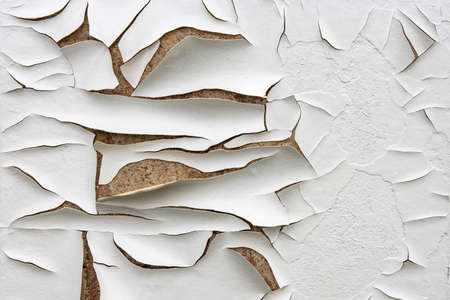 Old wood panel covered with a thick layer of cracked, peeling white paintの写真素材