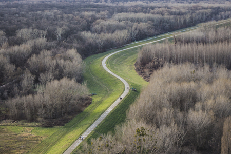 Curved road lined with green grass in the middle of autumn forest aerial from topの写真素材