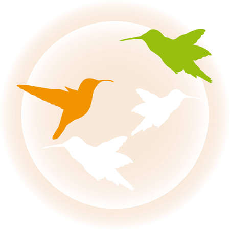 Cute illustration of hummingbirdのイラスト素材