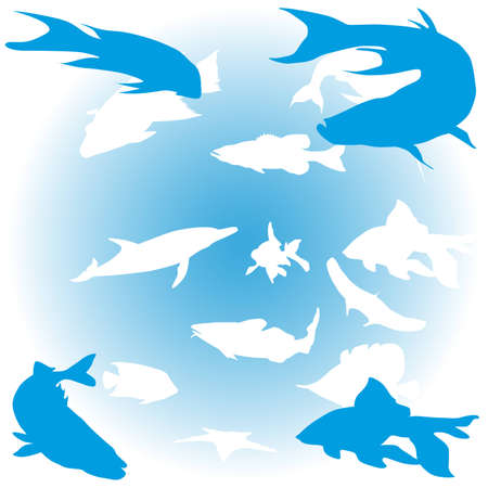 Illustration of different fishのイラスト素材