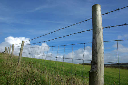Fence with barbed wire in the countryside.