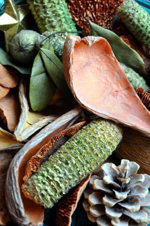 Detail view of a mix of flowers in a pot pourri.の写真素材