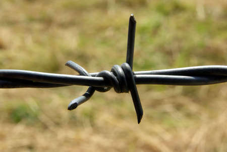 Close-up of a barbed wire around a field.の写真素材