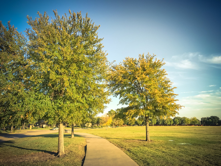 Filtered tone urban park with concrete trail and green grass lawの写真素材