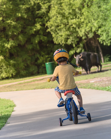 Back view of healthy Asian kid riding bicycle in the American parkの写真素材