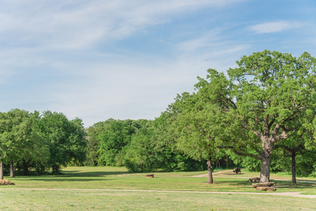 Beautiful park with grassy lawn, trees, decorative landscape rock. Nature area near Dallas, Texas, USAの写真素材
