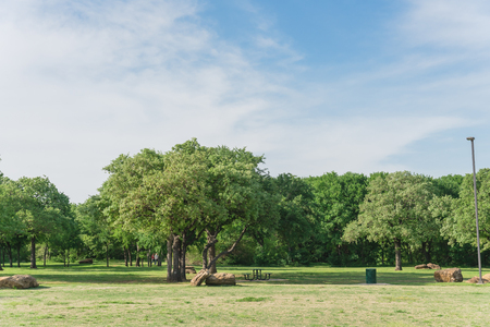 Public city park near Dallas, Texas, USA with picnic table, bin trash, trail and a lot of treesの写真素材