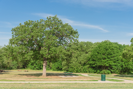 Public city park near Dallas, Texas, USA with picnic table, bin trash, trail and a lot of treesの写真素材