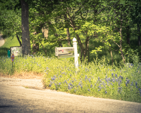 Mailbox with Bluebonnet blossom in springtime, rural scene in Texas, USA countrysideの写真素材