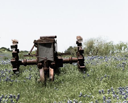 Vintage tone old tractor and Bluebonnet blossom at rural farm in Bristol, Texas, USA. Wildflower blooming in meadow with rustic wagon, countryside landscapeの写真素材
