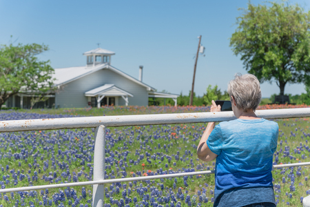 Close-up back view a healthy Caucasian senior lady using smart phone to capture Bluebonnet and Indian Paintbrush wildflower blooming through white fence of local farm in Bristol, Texas, USAの写真素材
