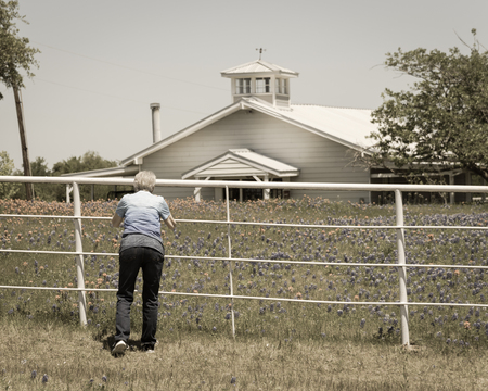Vintage tone a healthy Caucasian senior lady using smart phone to photograph Bluebonnet and Indian Paintbrush wildflower blooming through white fence of local farm in Bristol, Texas, USAの写真素材