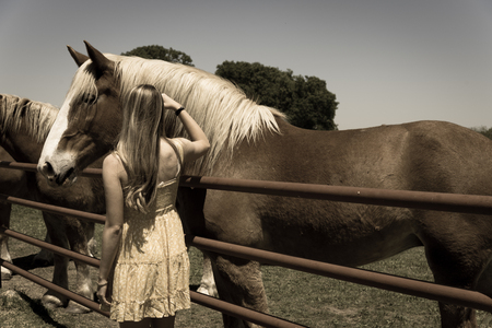 Blonde woman taking photo with Holland draft horse at local farm in Texas, USAの写真素材