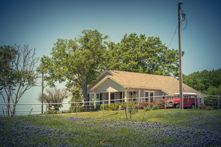 Vintage tone bluebonnet and Indian Paintbrush wildflower blooming in springtime at rural farm in Bristol, Texas, USA. Scenic life on the ranch with rustic fenceの写真素材