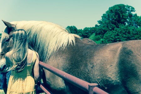 Filtered image rear view of lady taking photo with Holland draft horse at local farm in Texasの写真素材