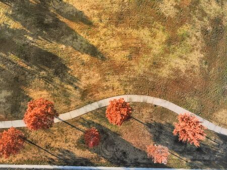 Top view curved pathway with colorful autumn leaves near Dallas, Texas