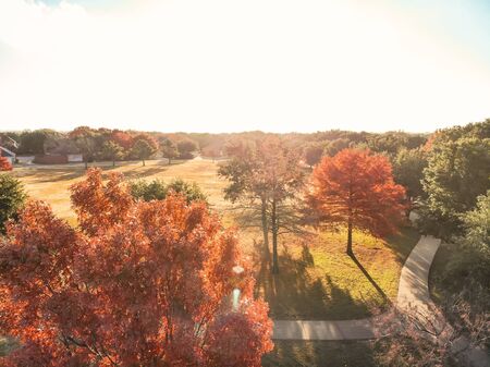 Top view close-up colorful autumn trees in the park with curved pathway near Dallasの写真素材