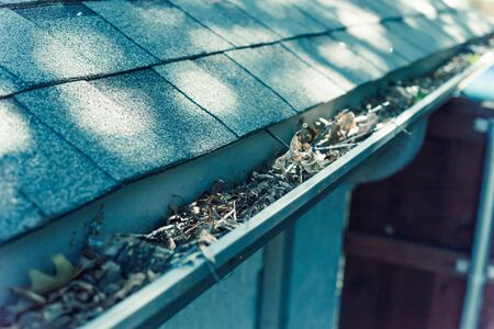 Vintage tone gutter near roof shingles of residential house full of dried leaves and dirty need to...