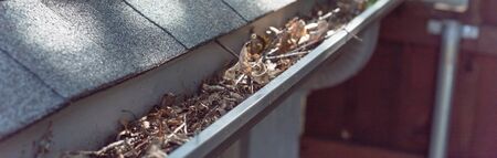 Panorama view gutter near roof shingles of residential house full of dried leaves and dirty need to...
