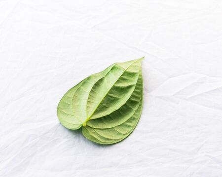 Studio shot top view one Vietnamese betel leaf paan or scientific name is Piper betle isolated on white background. A vine belonging to the Piperaceae family, mostly consumed chewing in Asiaの写真素材