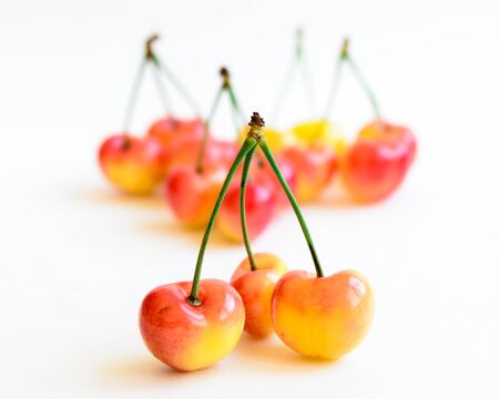 Selective focus two Rainer cherries joined with stem and blurred cherry pile isolated on white background. Fresh picked organic cherries grown in Yakima Valley, Washington State, USAの写真素材
