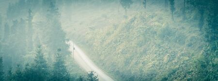 Panorama foggy mountain landscape in the North Vietnam. Winding road path thru the valley with row of pine trees leading to horizontalの写真素材
