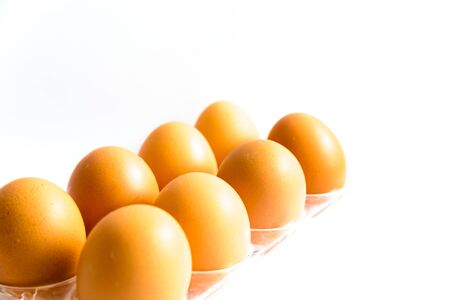 A plastic tray of organic brown eggs isolated on white background. Raw eggs heap image with clipping...