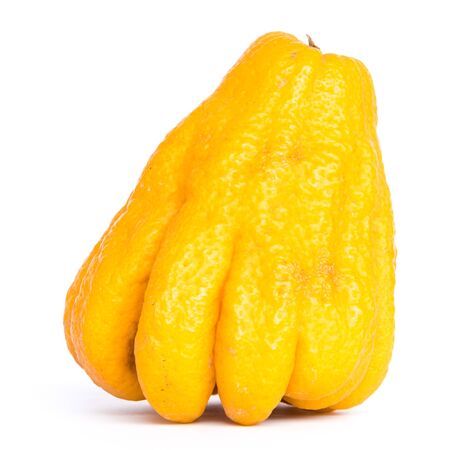 One ripe Buddha hand fruit or Hand of Buddha, Fingered citron fruit, Citrus medica isolated on white background. Afragrant citron variety whose fruit is segmented into finger-like sectionsの写真素材