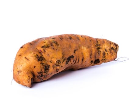 Single Asian sweet potato yam (Ipomoea batatas) isolated on white background. Fresh pick and organic starchy, sweet-tasting, tuberous roots homegrown in Vietnam.の写真素材