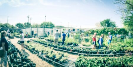Panorama view abstract blurred customers shopping for wide varieties of yard plants at plant sale event in Dallas, Texas, America. Garden with green house show and tourの写真素材