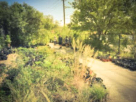 Motion blurred customers shopping for wide varieties of yard plants at plant sale event in Dallas,...