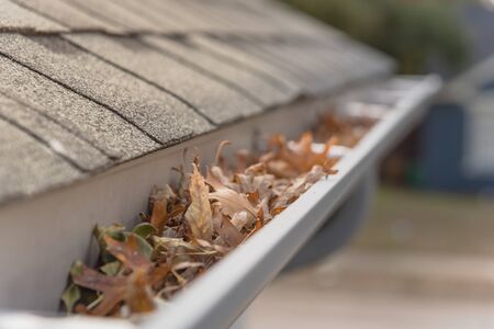 Clogged gutter near roof shingles of residential house full of dried leaves and dirty need to clean-up. Blocked drain pipe on rooftop. Gutter cleaning and home maintenance conceptの写真素材
