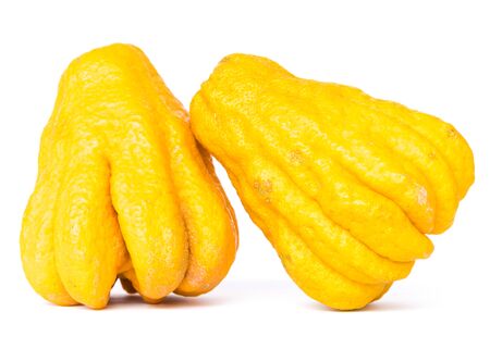 Two ripe Buddha hand fruits or Hand of Buddha, Fingered citron fruit, Citrus medica isolated on white background. Afragrant citron variety whose fruit is segmented into finger-like sectionsの写真素材