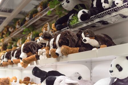 Variety of stuffed animal toys on shelves at retail store in America. Baby bear dolls, plush or cuddly toy at super market. Soft toys background texture patternの写真素材