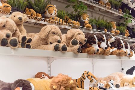Variety of stuffed animal toys on shelves at retail store in America. Baby bear dolls, plush or cuddly toy at super market. Soft toys background texture patternの写真素材