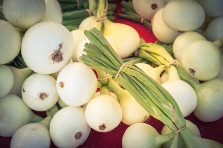 Sweet onion bunches in rubber bands on display at farmer market stand in Washington, America. Organic fresh Walla Walla onion variety.の写真素材