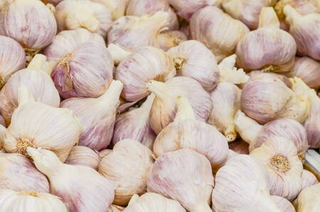 Red garlic pile at farmer market in Washington, America. Full frame view organic bulbs heap on display.の写真素材