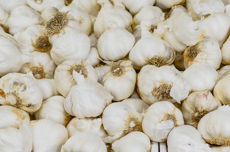 Pile of jumbo garlic (elephant garlic) at farmer market in Washington, America. Full frame view...