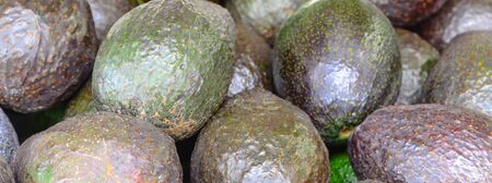 Panorama view pile of ripe and unripe avocados at farmer market in Puyallup, Washington, America....