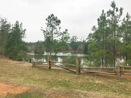 Scenic lake side trail with rustic wooden fence logs and tall pine trees of rest area in Texas, America.の写真素材