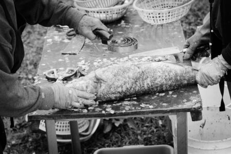 Close-up fishmongers hands using scaler tool and knife for fish skin brush scraping at Vietnamese...